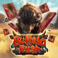 Buffalo Rush – AdvantPlay