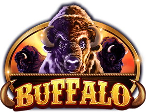 Buffalo – Ace333