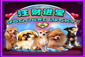 Doggone Lucky! – Aspect Gaming