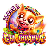 CHILIHUAHUA – Fa Chai