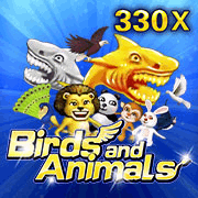 Birds and Animals – JDB