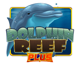 Dolphin Reef plus – King888