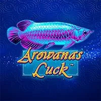 AROWANAS LUCK – Mario Club