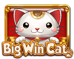 Big Win Cat – Mega888