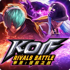 KOF Rivals Battle – Meta Gaming