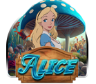 Alice – Pussy888