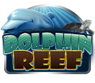 Dolphin Reef – Pussy888