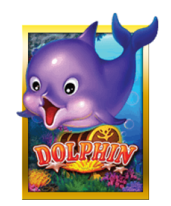 Dolphin – Club Sun City