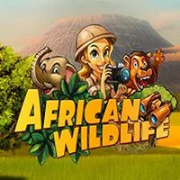 African Wildlife – V-Power