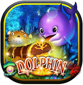 Dolphin 2 – 3Win8