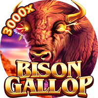Bison Gallop – YGR
