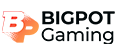 BIGPOT Gaming logo
